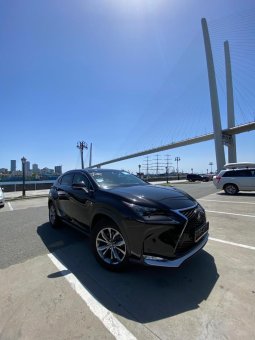 LEXUS NX200T 4WD в Петропавловск-Камчатский