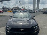 FORD MUSTANG в г.Москва 1