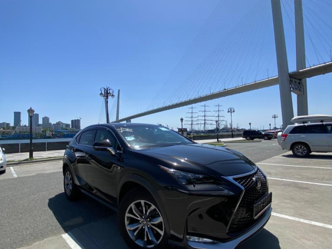 LEXUS NX200T 4WD в Петропавловск-Камчатский