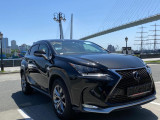 LEXUS NX200T 4WD в Петропавловск-Камчатский 1